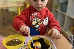 IMG_4123_Original