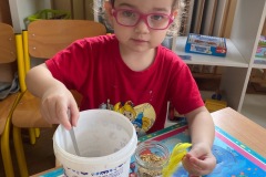 IMG_4243_Original