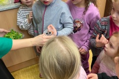 IMG_2356_Original