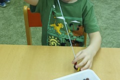 IMG_20250124_083644_Original